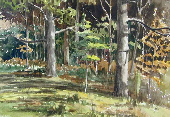 Woods